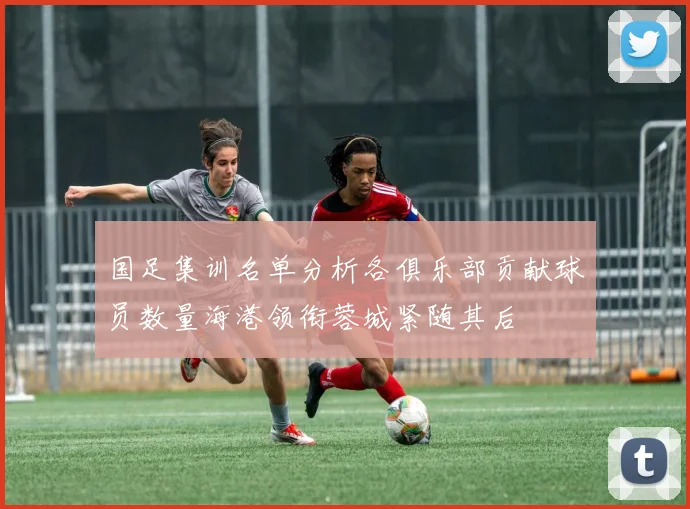 国足集训名单分析各俱乐部贡献球员数量海港领衔蓉城紧随其后